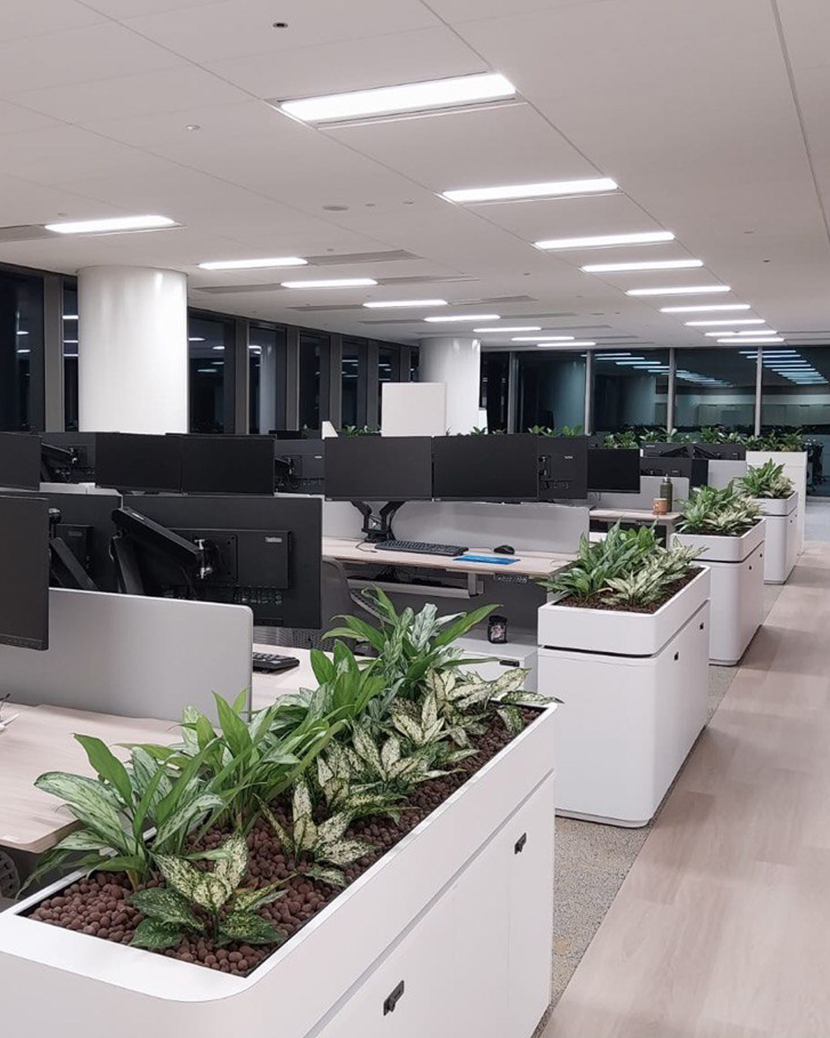 Curvy Cabinet (Wooden)