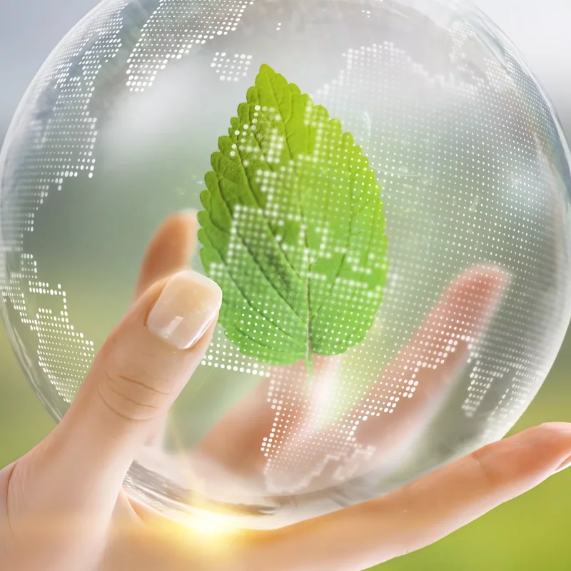 crystal-globe-earth-with-green-leaf